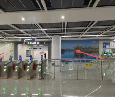 1765779102827895.png image.png